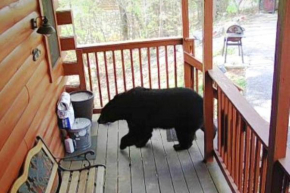Three Bears Cabin - Hottub Arcades Btwn PigeonForge Gatlinburg Great Smoky Mountains National Park